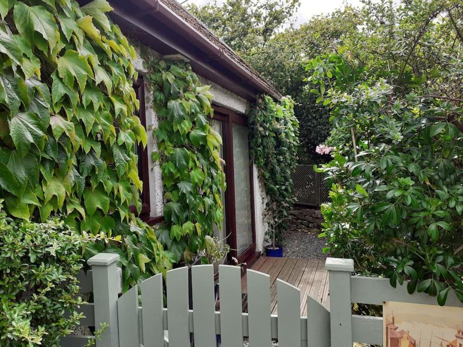 Oakey Orchard - Cosy Apartment In Tamar Valley, Cornwall Saint Dominick Eksteriør bilde